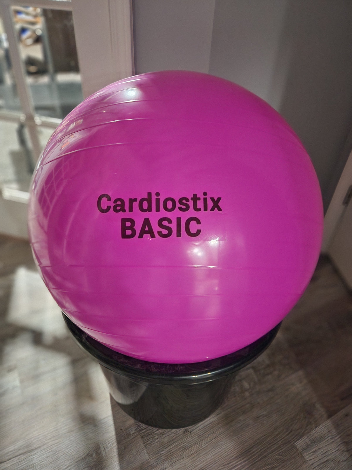 65 CM  BASIC YOGA BALL