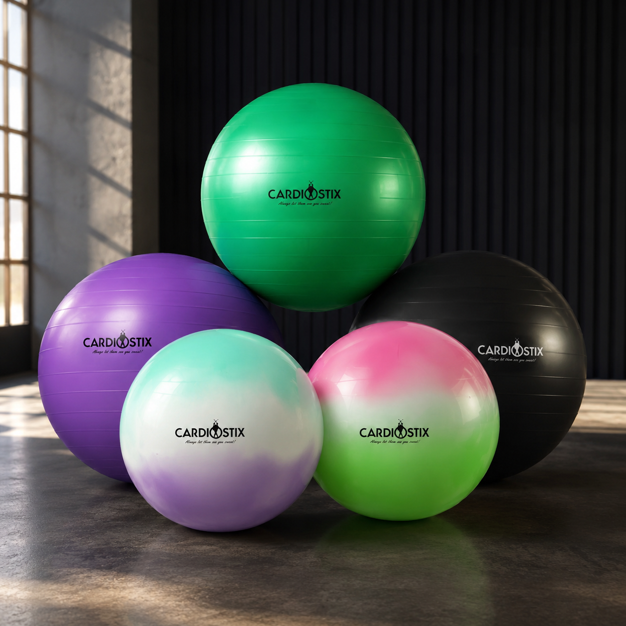 Premium Weighted Yoga Balls