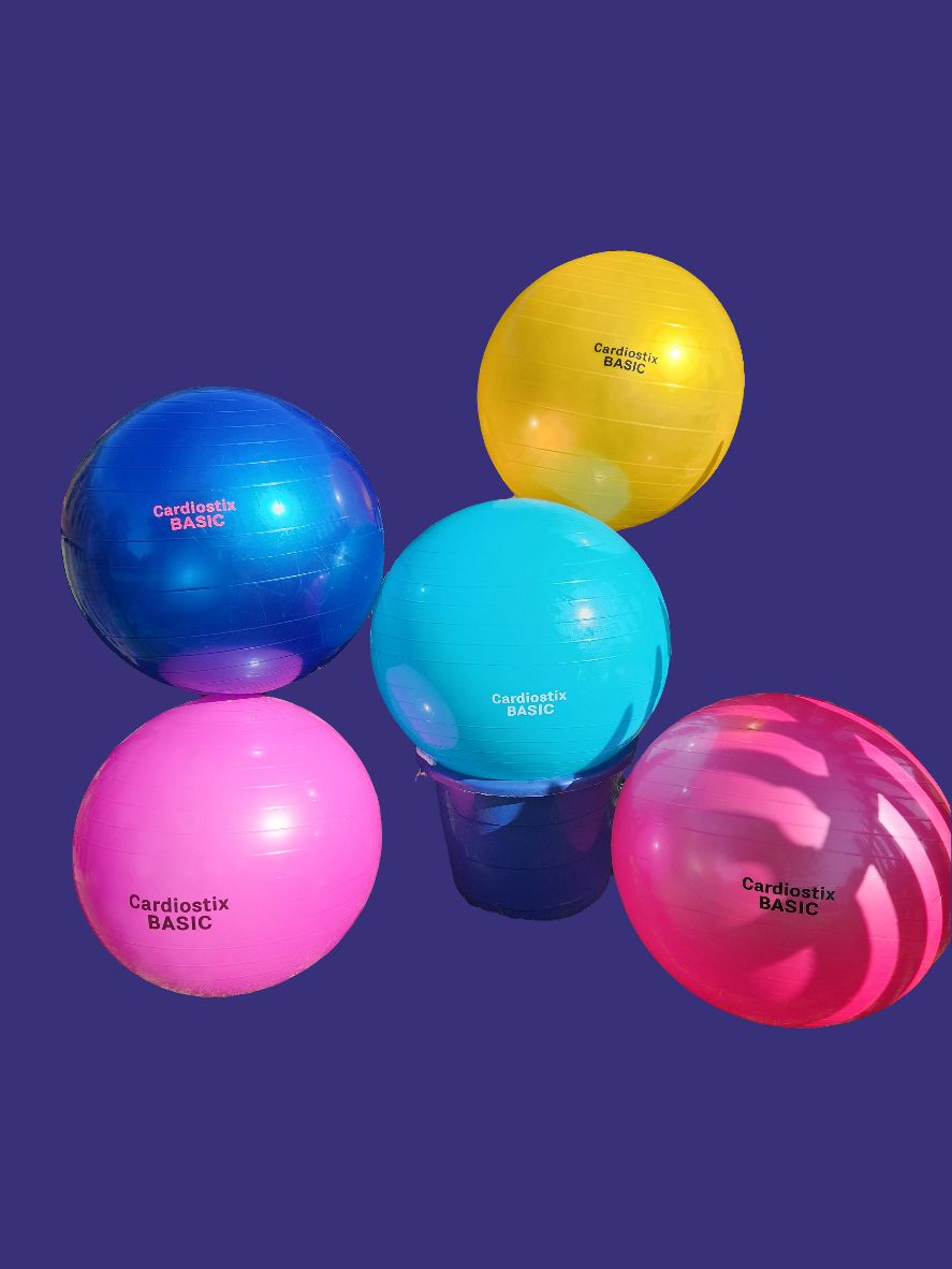 65 CM  BASIC YOGA BALL