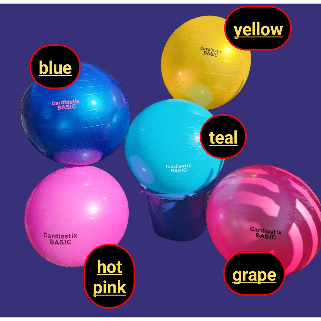 65cm basic yoga ball color option 15