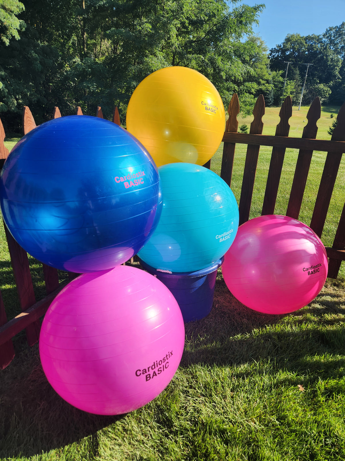 65 CM  BASIC YOGA BALL