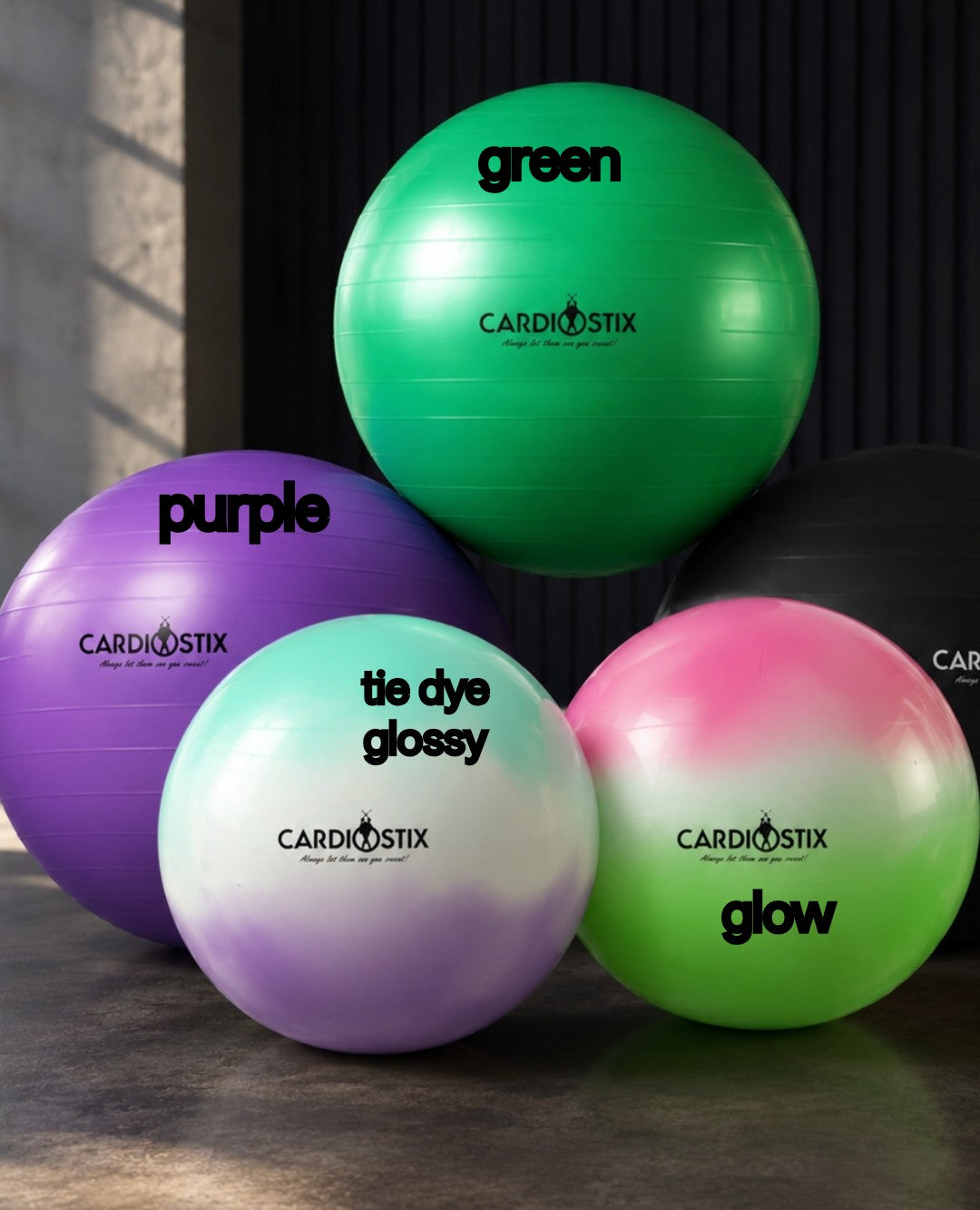 Premium Weighted Yoga Balls