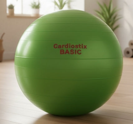 65 CM  BASIC YOGA BALL